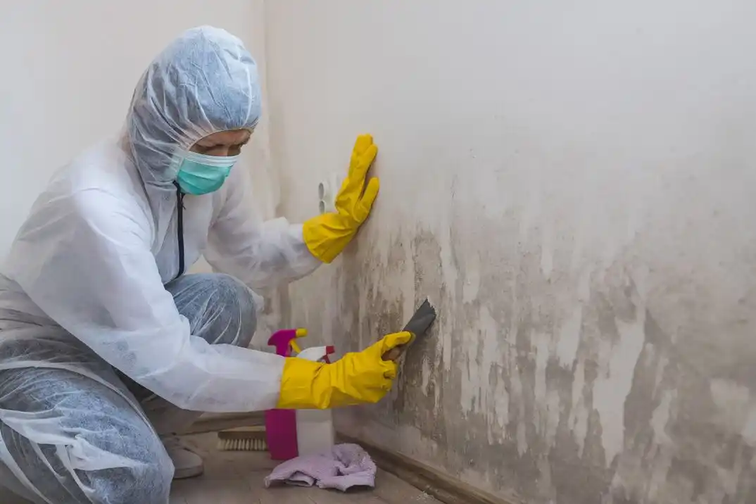 water damage restoration service Paloma Creek